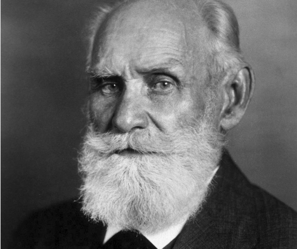 a-pavlov-primer-a-guide-to-the-work-of-ivan-p-pavlov-psychology