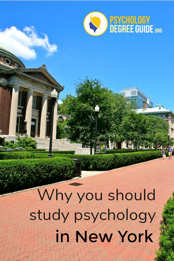 Why you should study psychology in New York