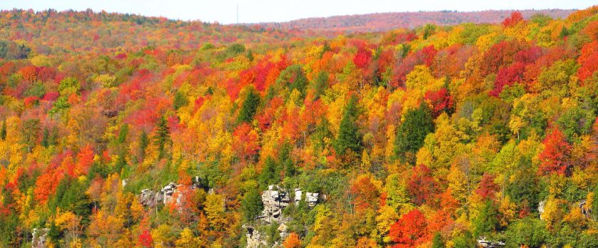West Virginia fall foliage