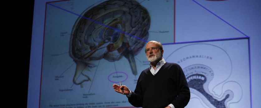 Speaker on stage in front of large slide of human brain.