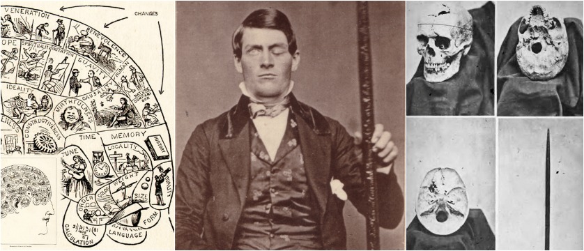 case study the case of phineas gage