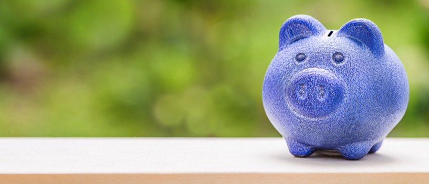 blue piggy bank