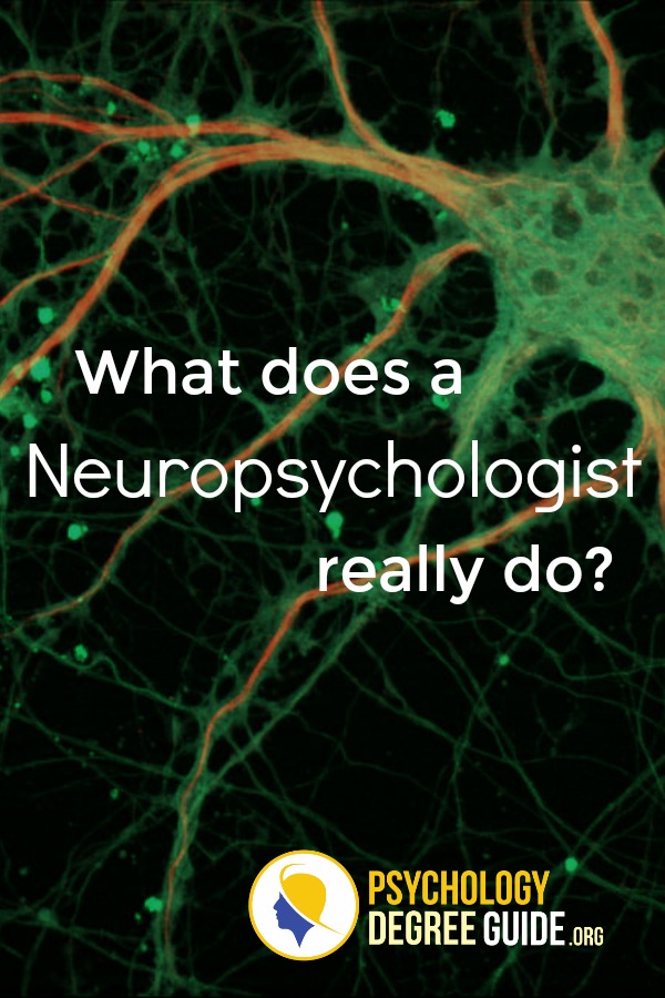 What does a neuropsychologist do?